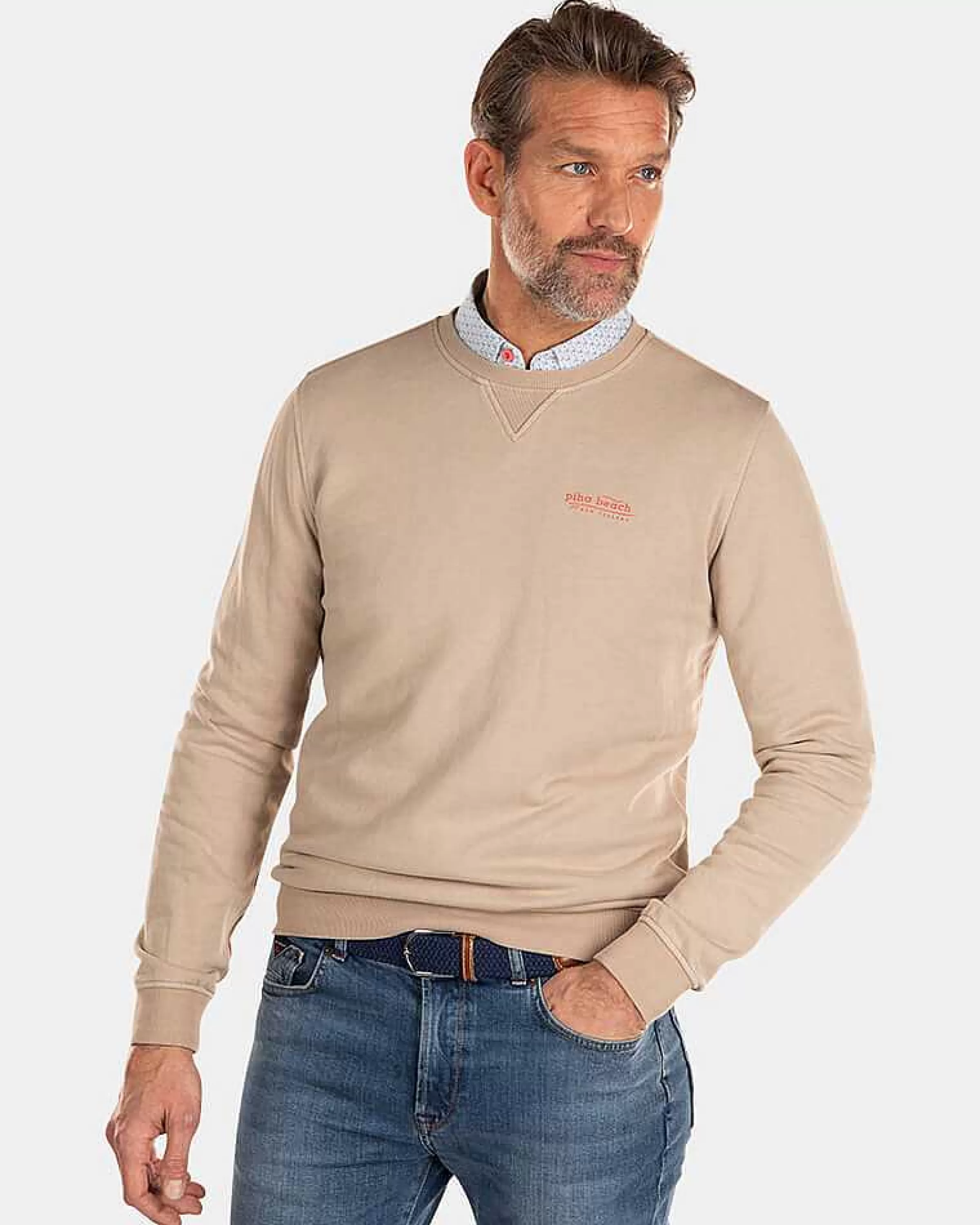 NZA New Zealand Auckland Sweats | Effen Sweater Met Ronde Hals-Shimmering Sand